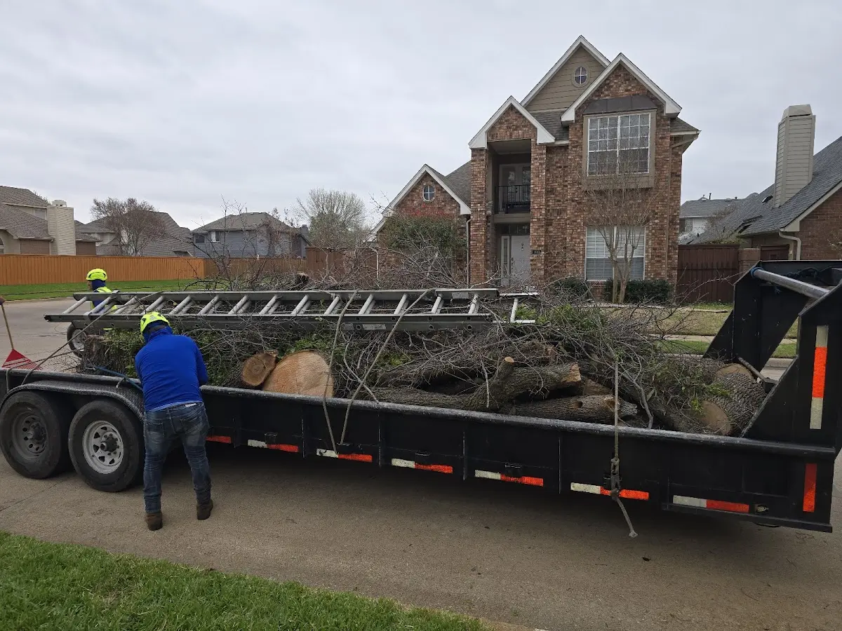 Expert Lot Clearing with proper safety equipment in Cedar Grove